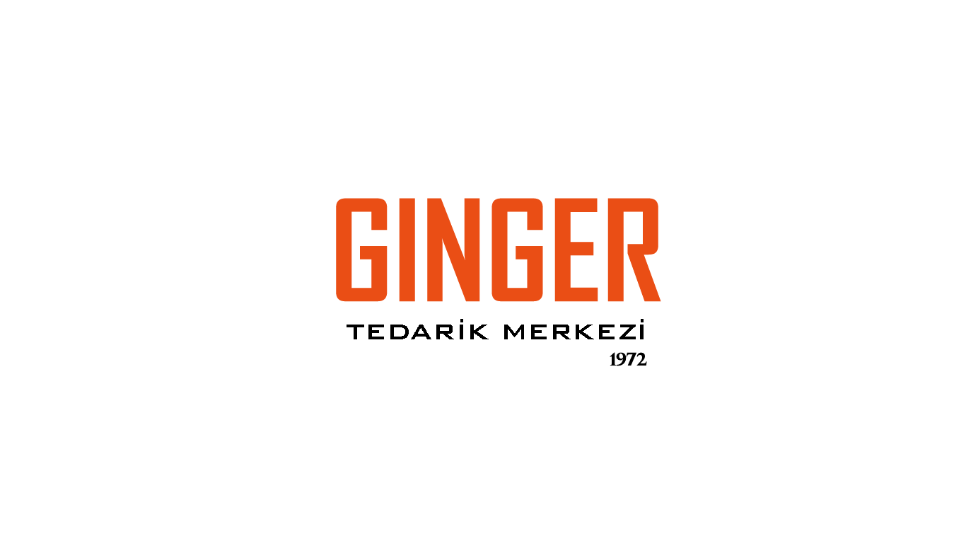 GINGER TEDARİK MERKEZİ KATALOG 2024